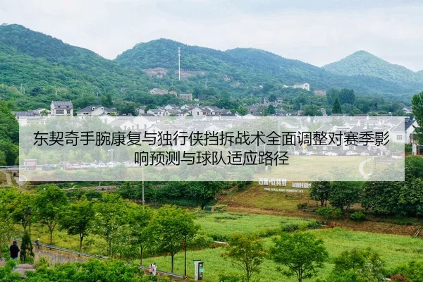 东契奇手腕康复与独行侠挡拆战术全面调整对赛季影响预测与球队适应路径